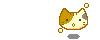 cat5
